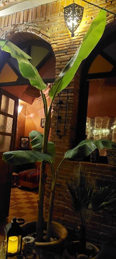 Riad Kainos Марракеш Экстерьер фото
